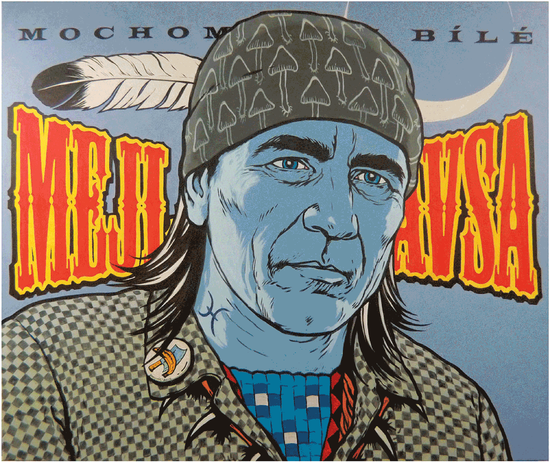 Mejla Hlavsa Muchomurky Bile